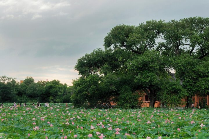 Land view from property
