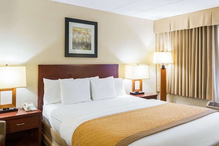 1 King Bed (9 of 12)