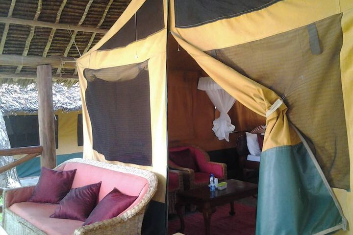 Room 29 of 66