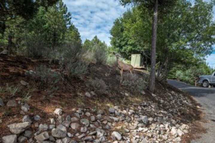 Property Grounds 21 of 39