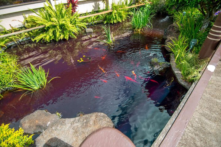 Hotel Exterior 54 of 59