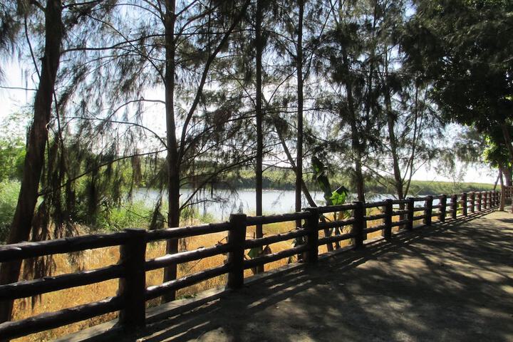 Property Grounds 23 of 51