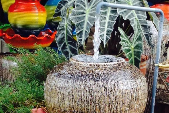 Spa and Wellness Pictures