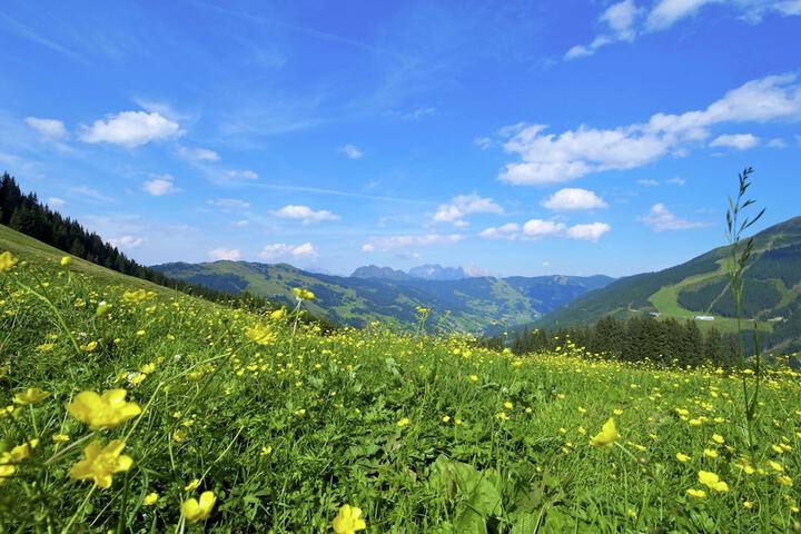 Hotel View 29 of 33