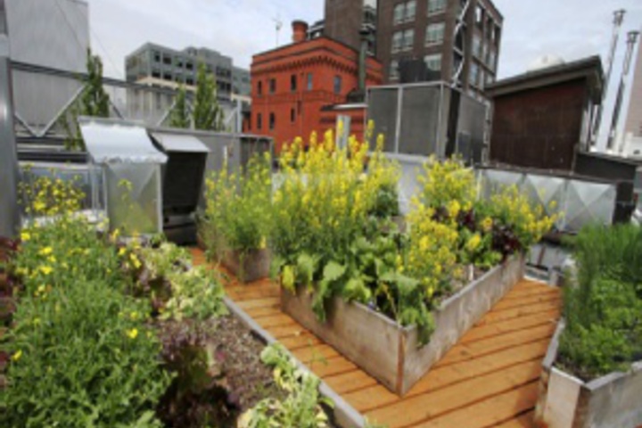 Terrace/Patio 45 of 420