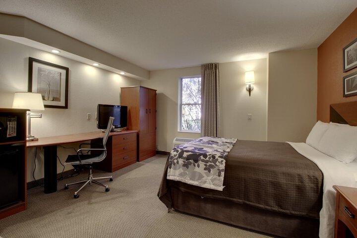 1 Queen Bed Accessible (6 of 10)