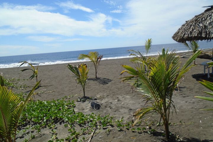 Beach 204 of 228