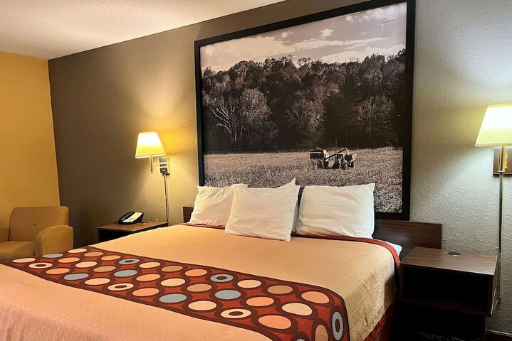 1 King Bed (8 of 12)