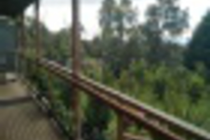 Terrace/Patio 15 of 36