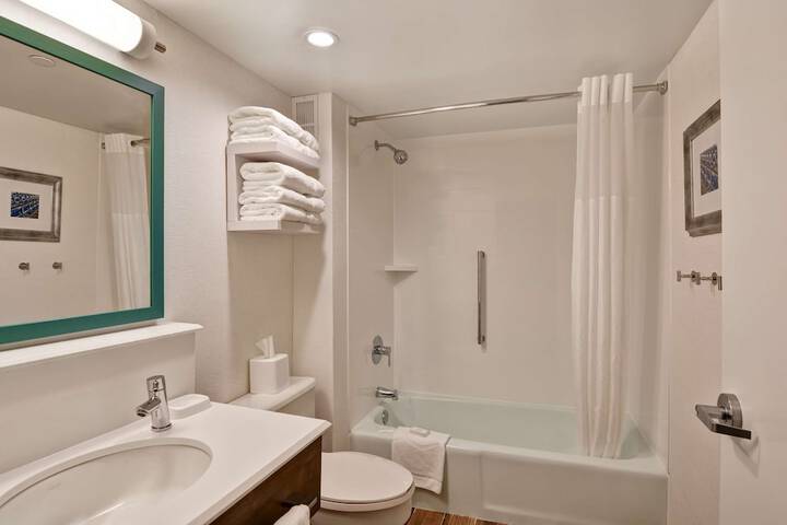 1 King Mobility Hearing Accessible Roll in Shower (2 of 14)