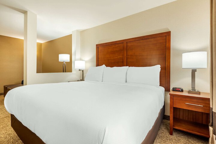 1 King Bed Suite (1 of 5)