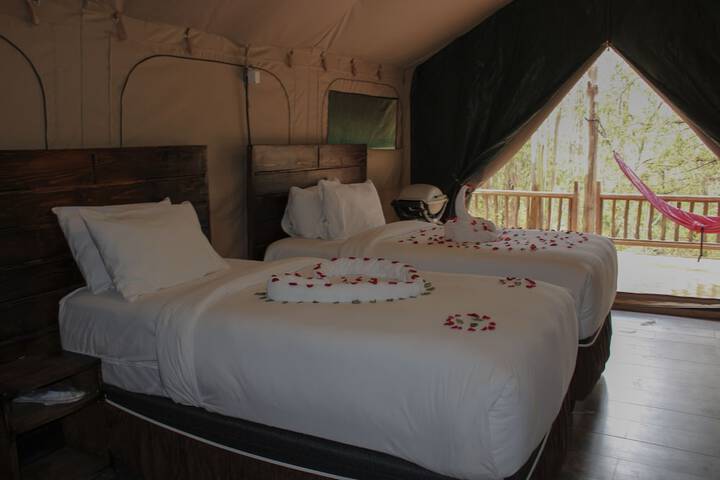 Room 4 of 26