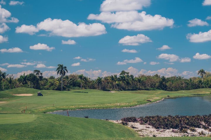 Golf 37 of 66