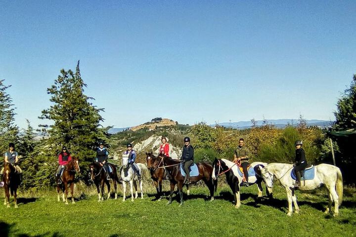 Horseback riding
