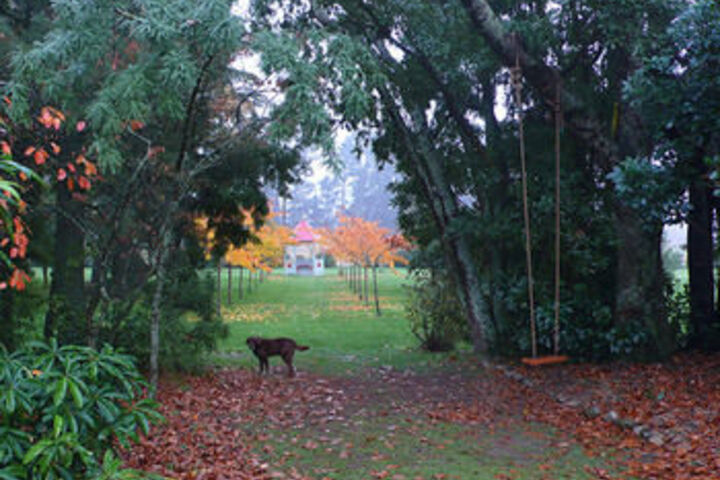 Property Grounds 29 of 32