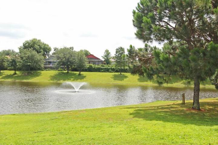 Property Grounds 27 of 31