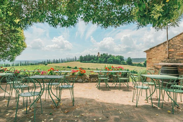Agriturismo La Ripolina in Buonconvento
