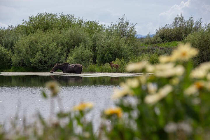 Hotel Interior 33 of 49