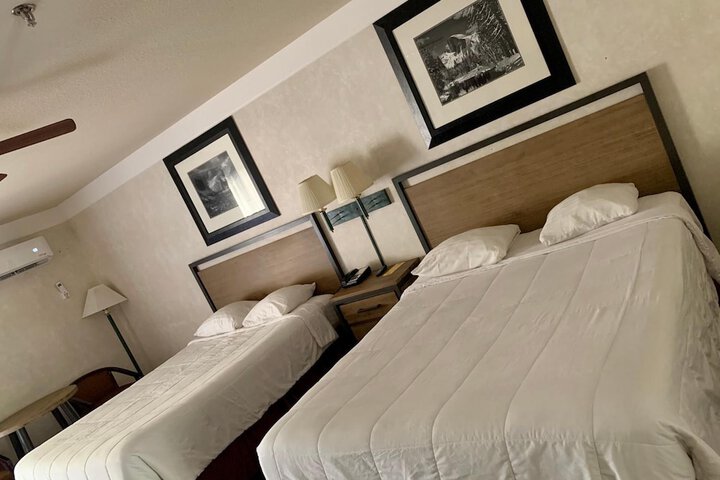 Room 14 of 81