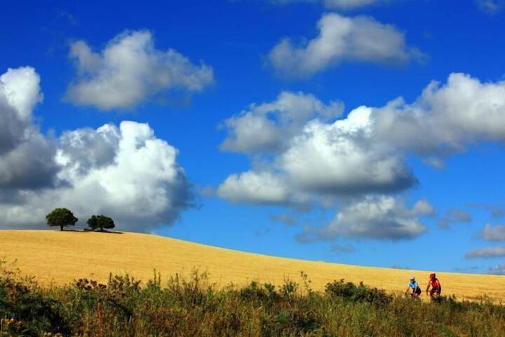 Bicycling