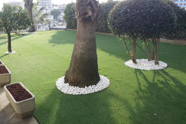 Spa and Wellness Pictures