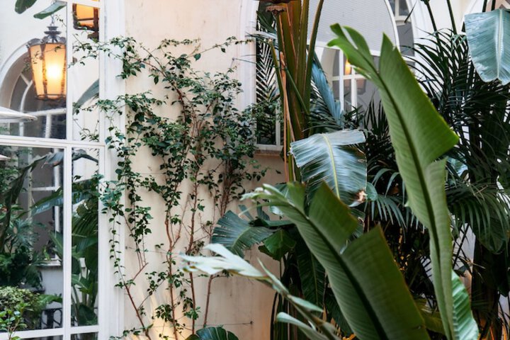 Hotel 67 of 79