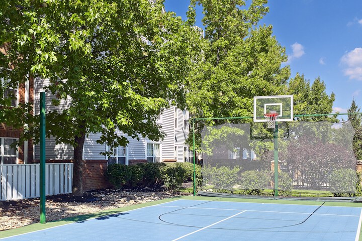 Basketball court