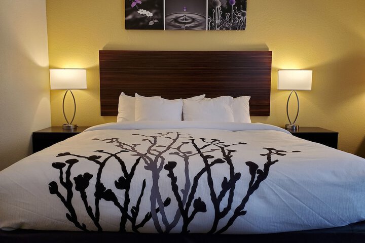1 King Bed (17 of 29)