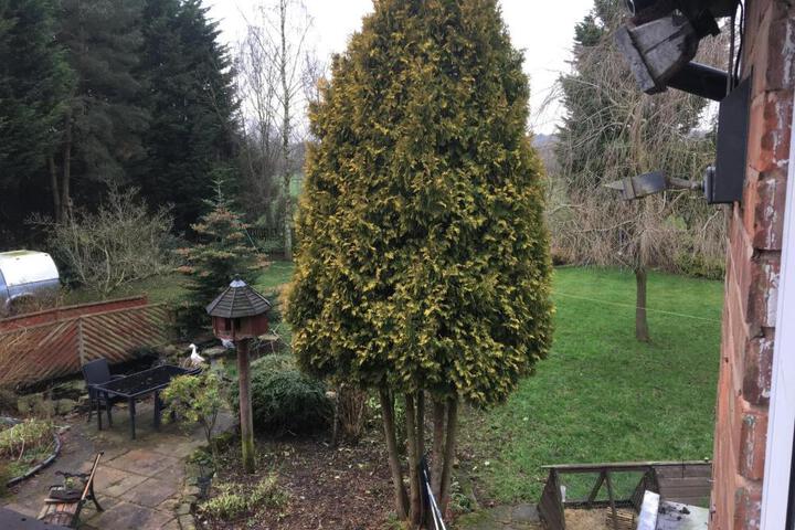 Spa and Wellness Pictures