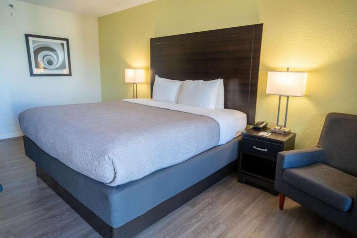 1 King Bed (4 of 16)