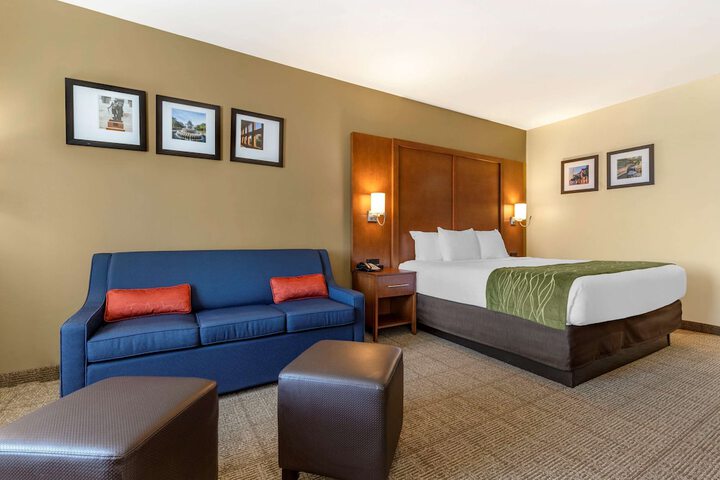 1 King Bed (8 of 12)