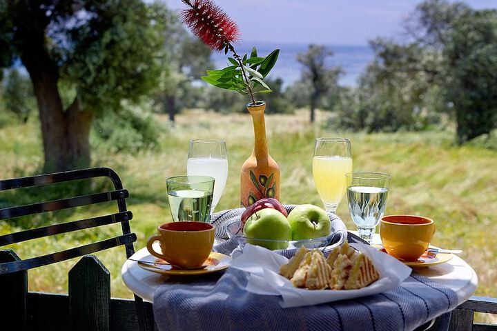 Dining Photos