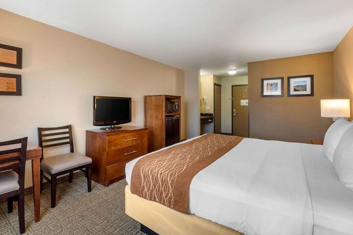 Standard | King Bed (2 of 21)