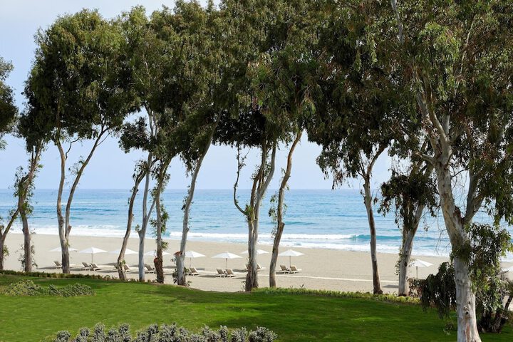 Beach 496 of 578