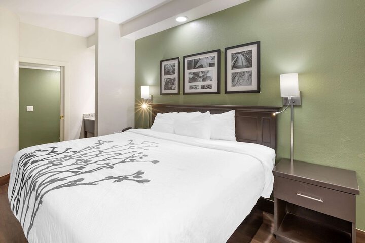 Standard | King Bed (3 of 9)