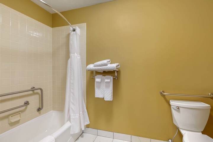Accessible 1 King Mobility Accessible Bathtub Grab Bar Full Breakfast (8 of 13)