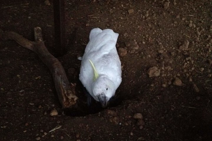 Property Grounds 10 of 24