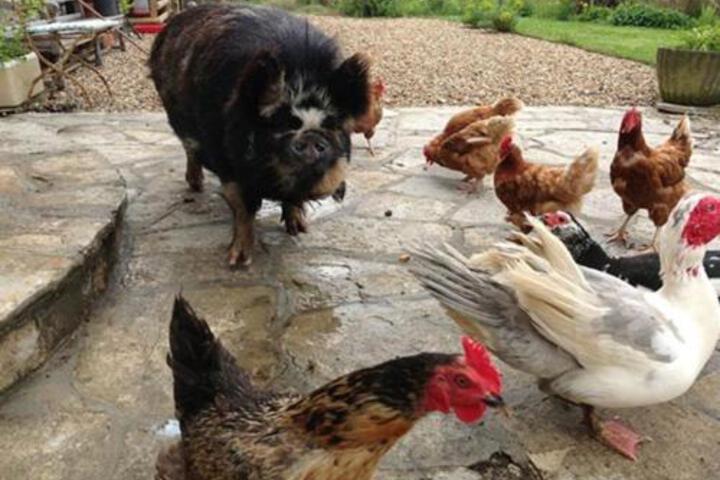 Fitness Facility Photos