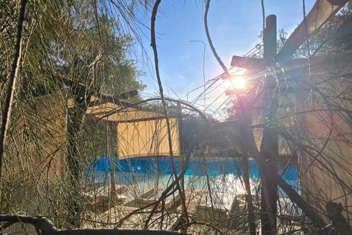 Spa and Wellness Pictures