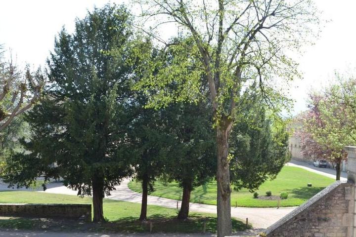 Property Grounds 20 of 22