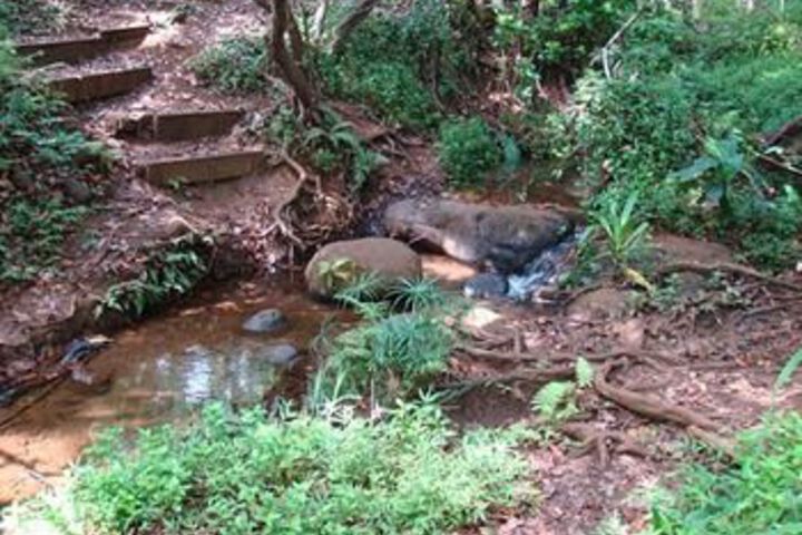 Property Grounds 22 of 25
