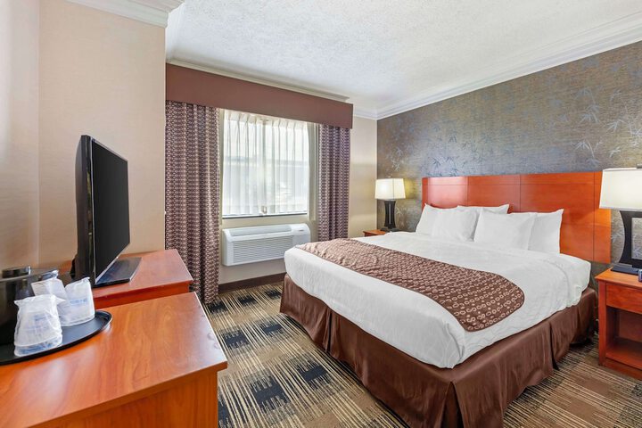 1 King Bed Table and Chairs Refrigerator, Continental Breakfast (13 of 14)
