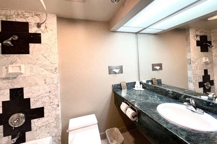 1 King Bed Suite (6 of 8)
