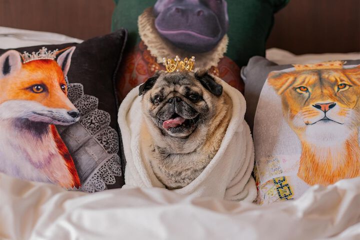 Hotel Interior 28 of 48