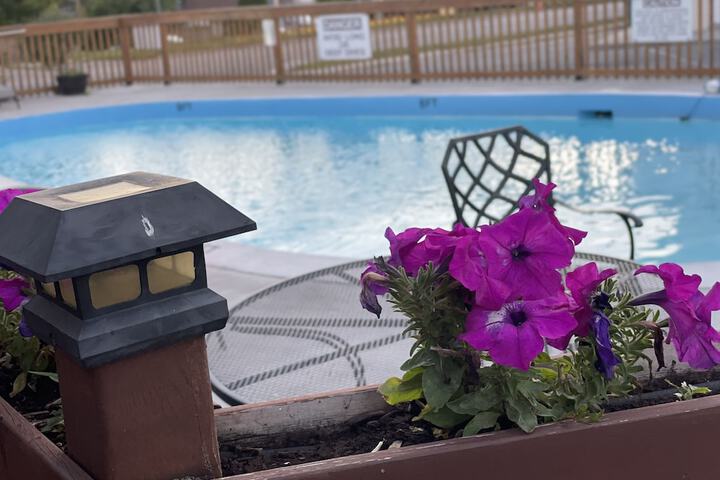 Pool to Cool