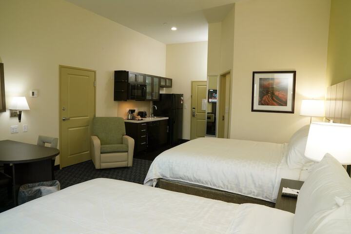 1 King Bed Studio Suite (3 of 18)
