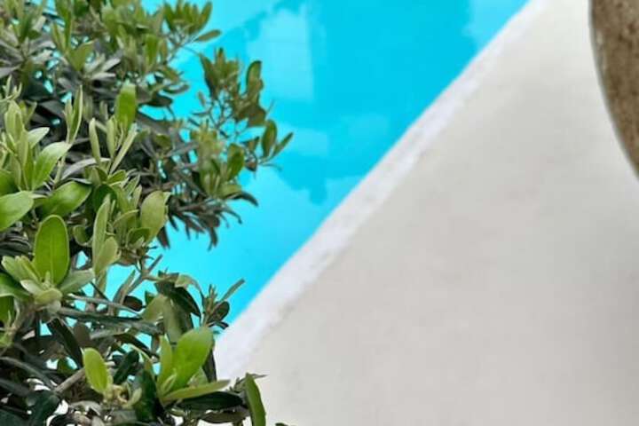 Pool 164 of 190