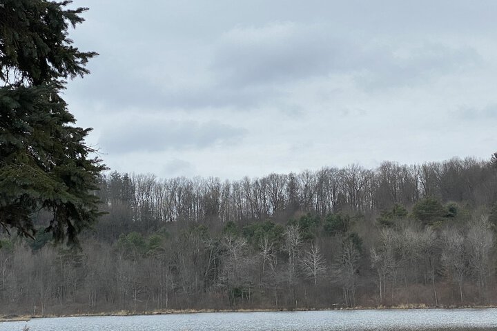Comfort Single Room 1 Bedroom Lake View (5 of 7)