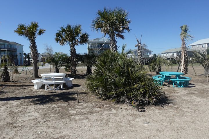 Property Grounds 246 of 282