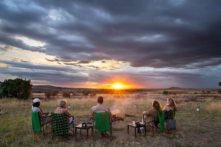 Safari